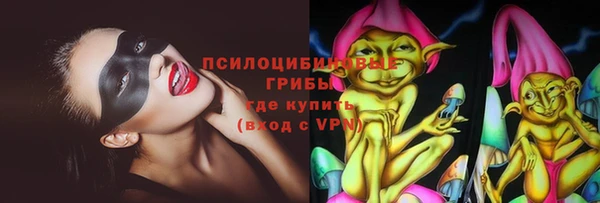 молекула духа Алзамай