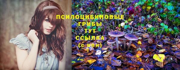 первитин Армянск