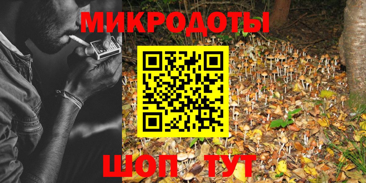 Псилоцибиновые грибы мицелий  Псилоцибиновые грибы GOLDEN TEACHER  Вход с VPN  где найти наркотики  Майкоп 