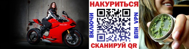 Шишки марихуана VHQ  где можно купить наркотик  Майкоп 